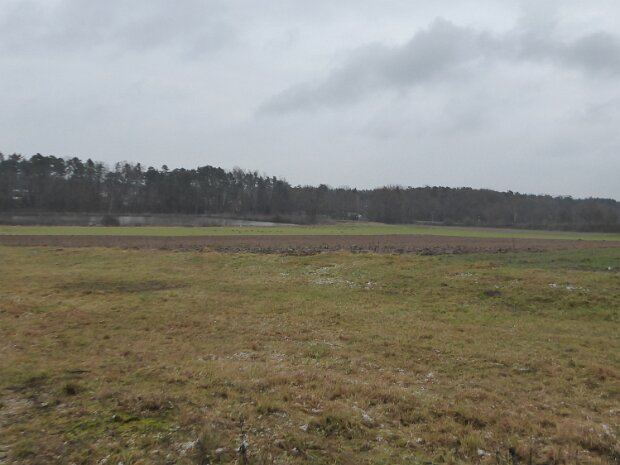 Dechsendorfer Weiher