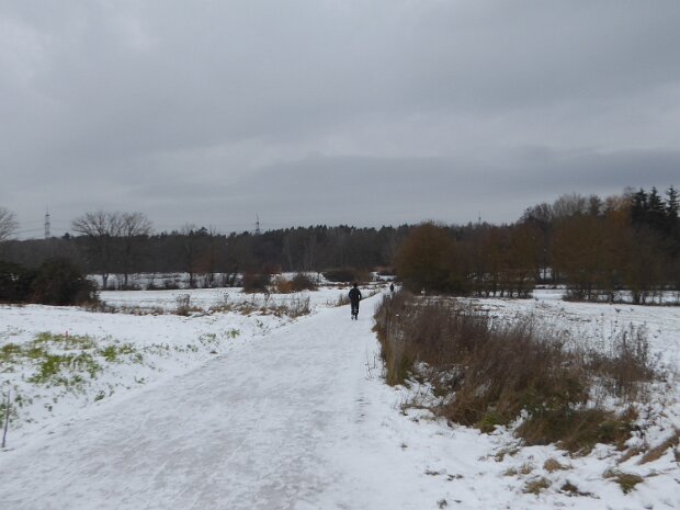 Dechsendorfer Weiher