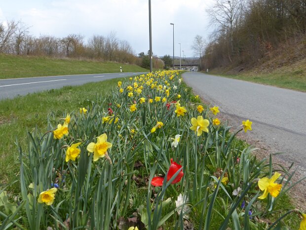 Dechsendorfer Weiher