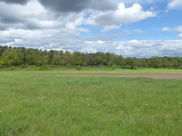 Dechsendorfer Weiher