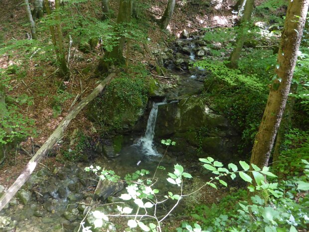 Grünburger Hütte - Schoberstein