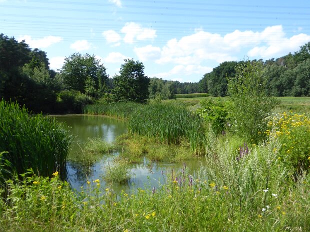 Rote Marter Röttenbach