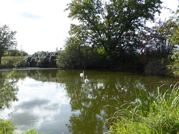 Dechsendorfer Weiher