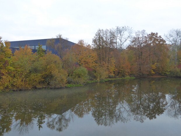 Regnitzwiesen - Dechsendorfer Weiher