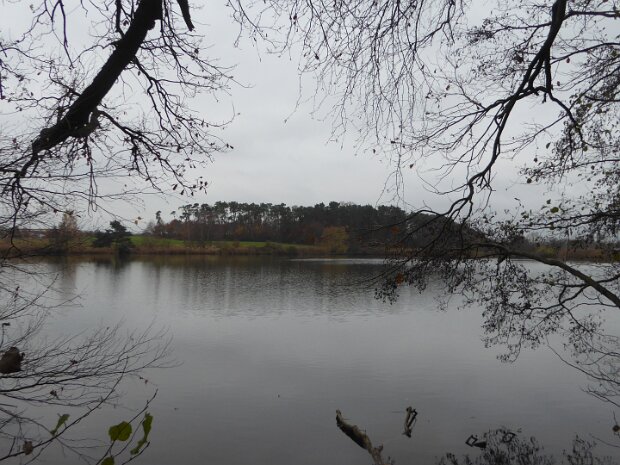 Dechsendorfer Weiher