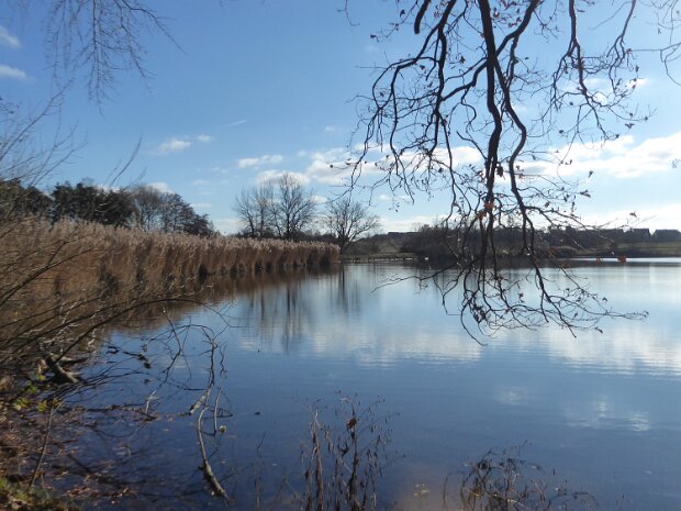 Dechsendorfer Weiher