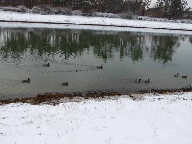 Schleuse Erlangen Kanal - Schleuse Erlangen - Dechsendorfer Weiher - Mönau