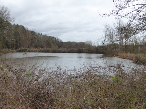 Dechsendorfer Weiher