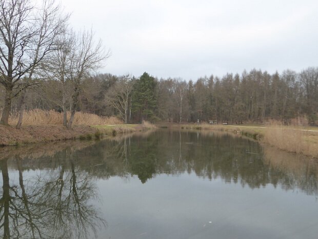 Dechsendorfer Weiher