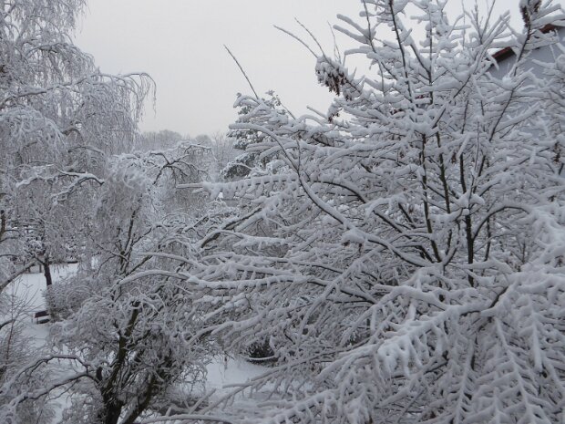 Schleuse Erlangen Mönau - Schleuse Erlangen - Dechsendorfer Weiher - Mönau