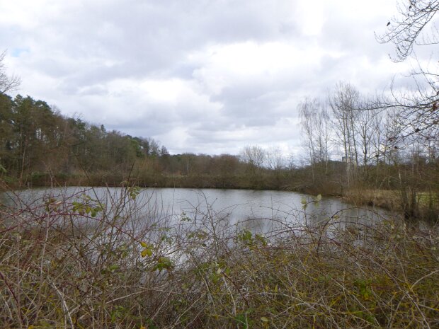 Dechsendorfer Weiher