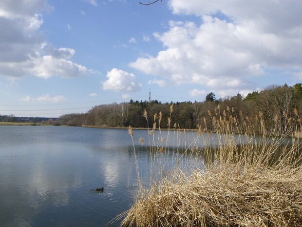 Dechsendorfer Weiher