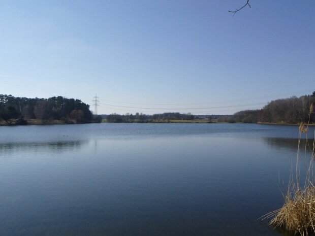 Dechsendorfer Weiher