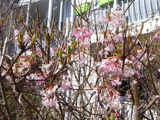 Obermembach - Dechsendorfer Weiher