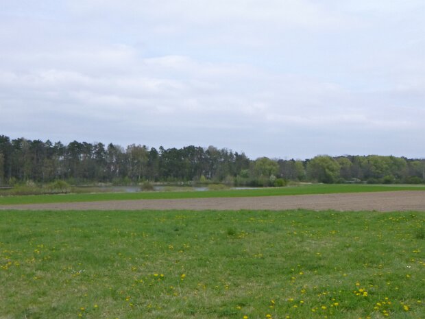 Dechsendorfer Weiher