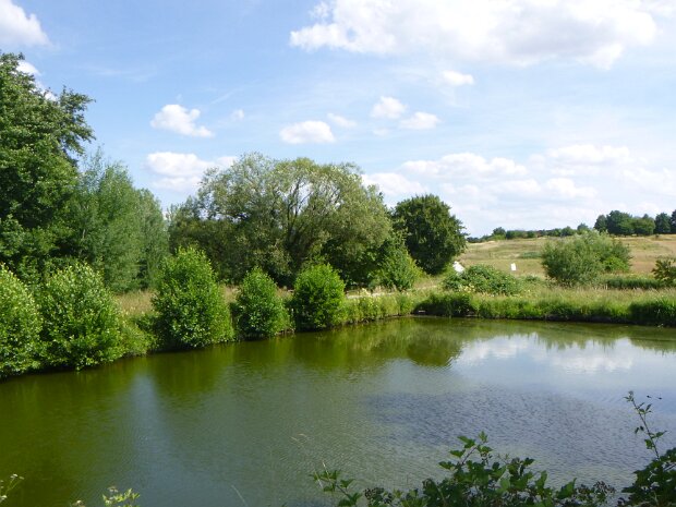 Dechsendorfer Weiher