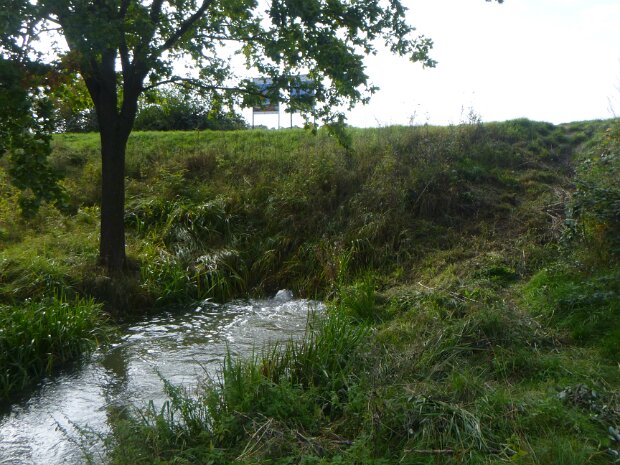 Dechsendorfer Weiher