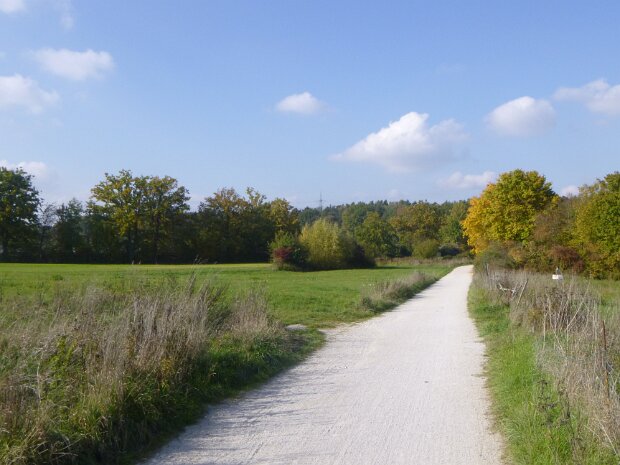 Dechsendorfer Weiher