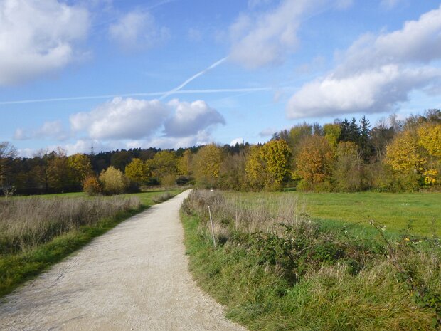 Dechsendorfer Weiher