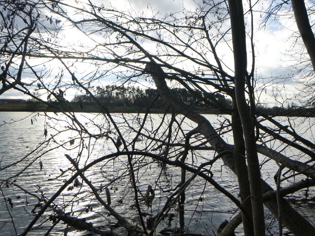 Dechsendorfer Weiher