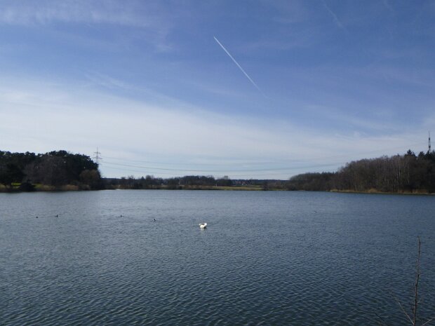 Dechsendorfer Weiher