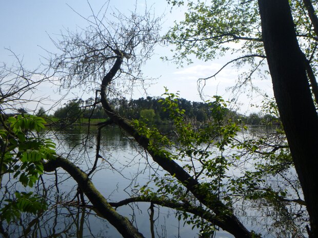 Dechsendorfer Weiher