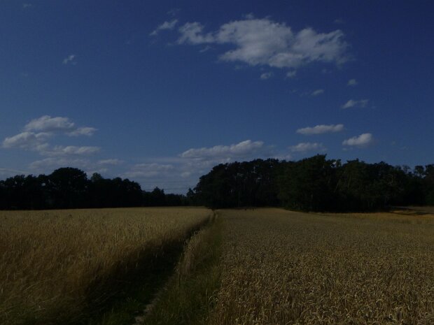 Dechsendorfer Weiher