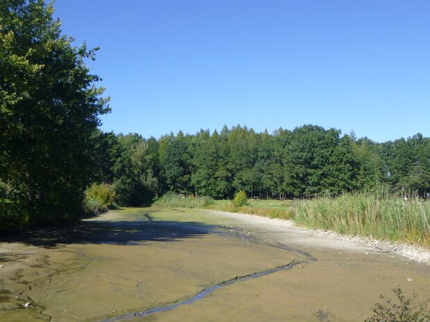 Dechsendorfer Weiher