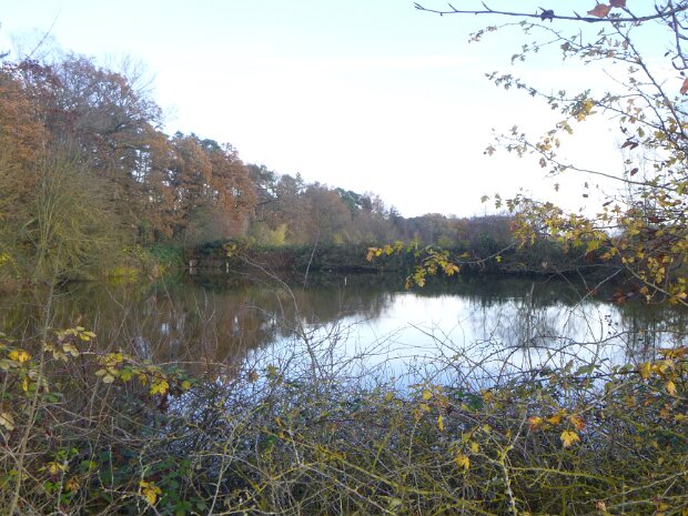 Dechsendorfer Weiher