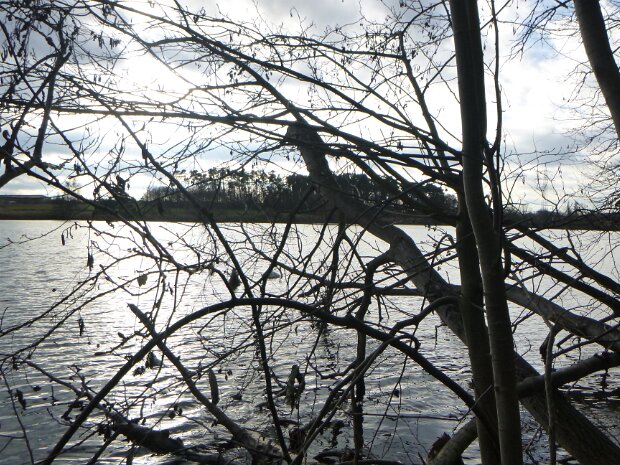 Dechsendorfer Weiher