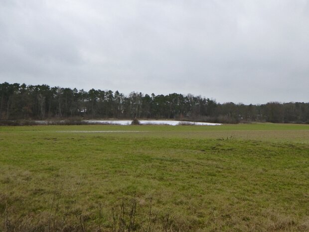 Schleuse Erlangen Mönau - Schleuse Erlangen - Dechsendorfer Weiher - Mönau