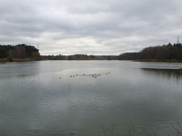 Dechsendorfer Weiher