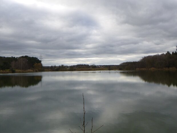 Dechsendorfer Weiher