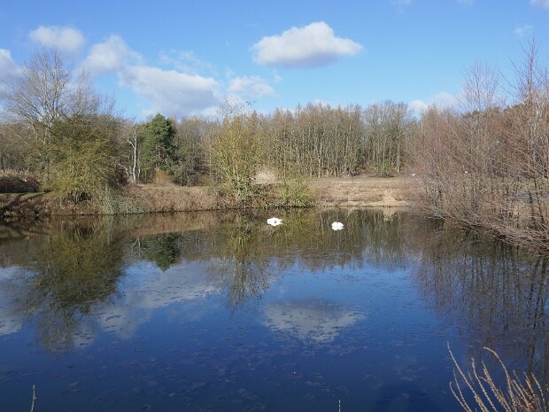 Dechsendorfer Weiher