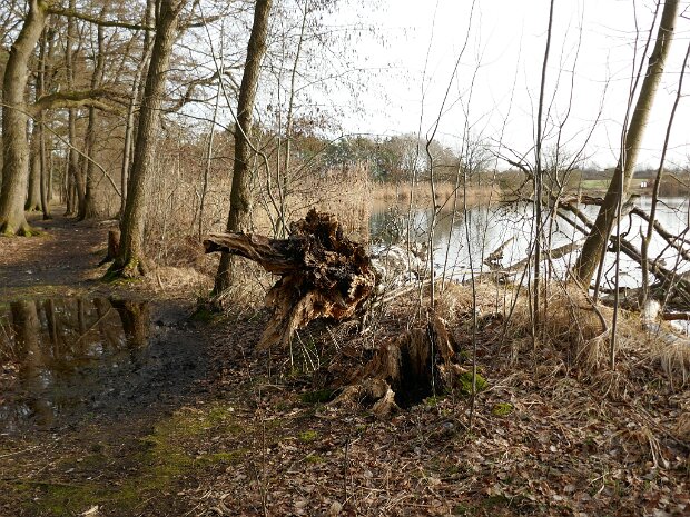 Dechsendorfer Weiher