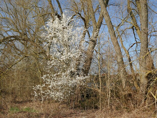 Obermembach - Dechsendorfer Weiher