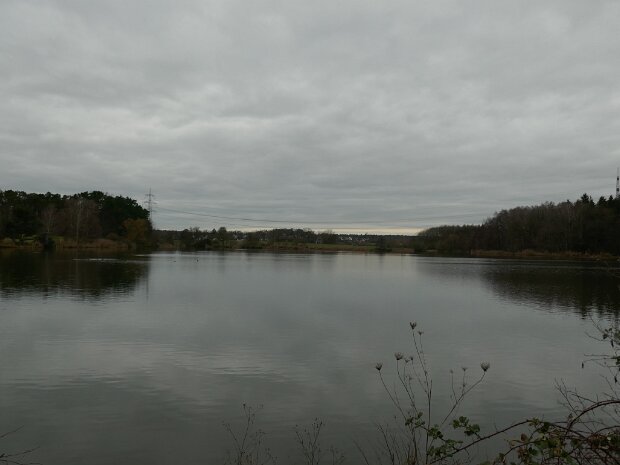 Dechsendorfer Weiher