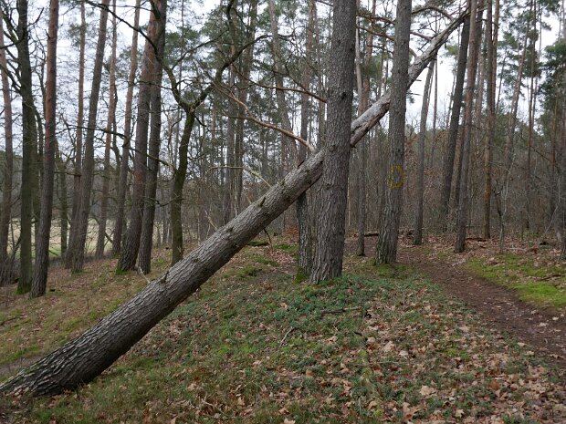 Schleuse Erlangen Mönau - Schleuse Erlangen - Dechsendorfer Weiher - Mönau