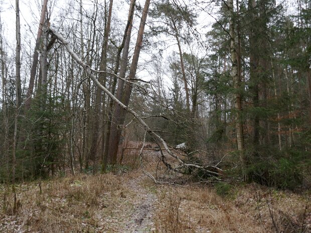 Schleuse Erlangen Mönau - Schleuse Erlangen - Dechsendorfer Weiher - Mönau