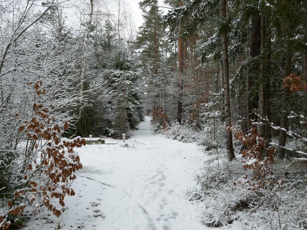 Schleuse Erlangen Mönau - Schleuse Erlangen - Dechsendorfer Weiher - Mönau