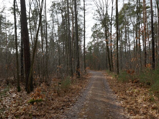 Schleuse Erlangen Mönau - Schleuse Erlangen - Dechsendorfer Weiher - Mönau