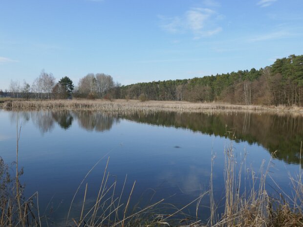 Dechsendorfer Weiher