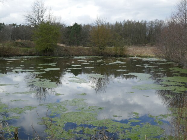 Dechsendorfer Weiher