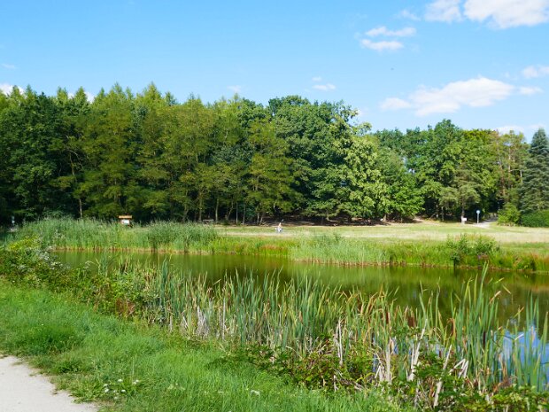 Dechsendorfer Weiher