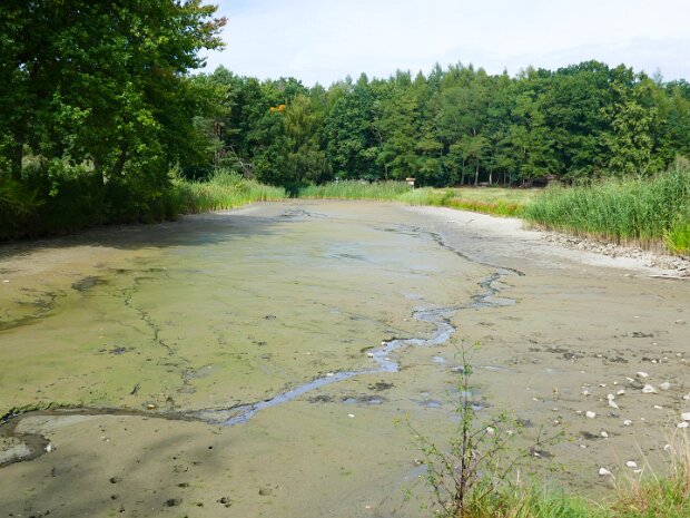 Dechsendorfer Weiher