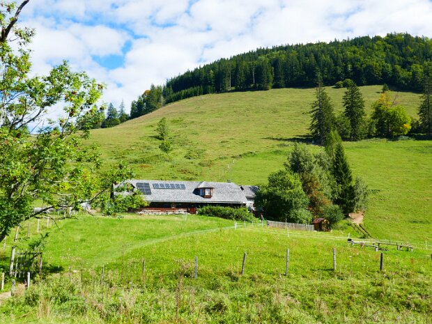 Gschwendtalm - Almkogel