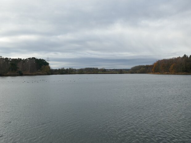 Dechsendorfer Weiher