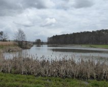 p1400279