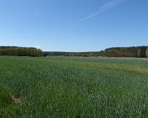 p1350107